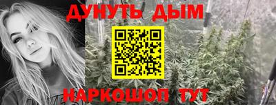 индика Аргун