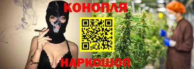 индика Аргун