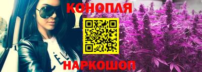 индика Аргун