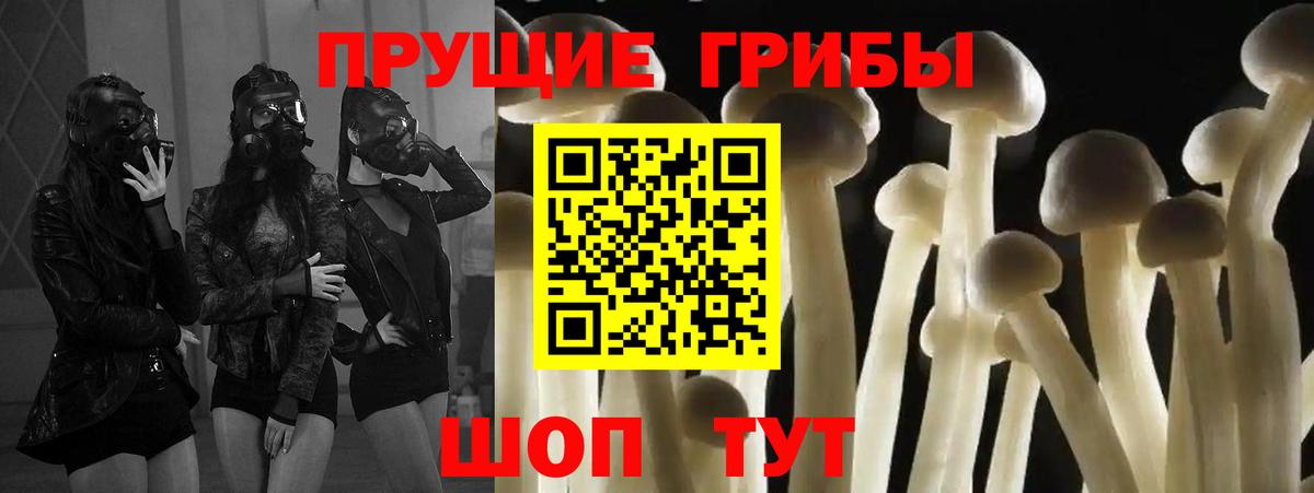 Галлюциногенные грибы GOLDEN TEACHER  Псилоцибиновые грибы прущие грибы  Вход с VPN  Воронеж 